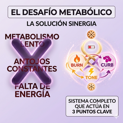 Lemme Burn+Lemme Curb + Lemme Tone 3x1 kit